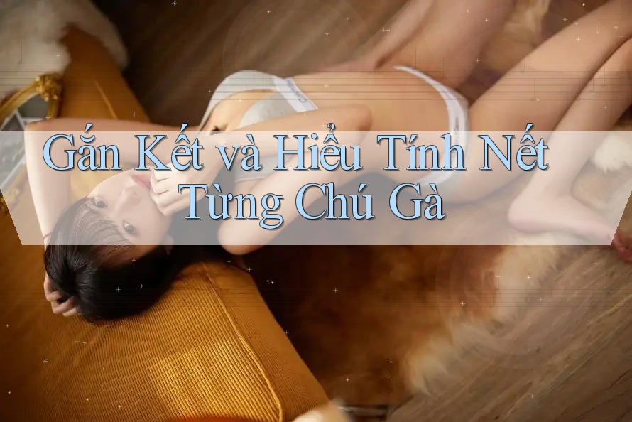 Gắn Kết và Hiểu Tính Nết Từng Chú Gà