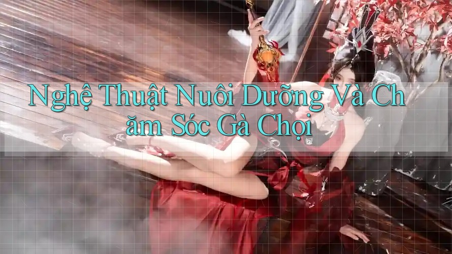 Nghệ Thuật Nuôi Dưỡng Và Chăm Sóc Gà Chọi