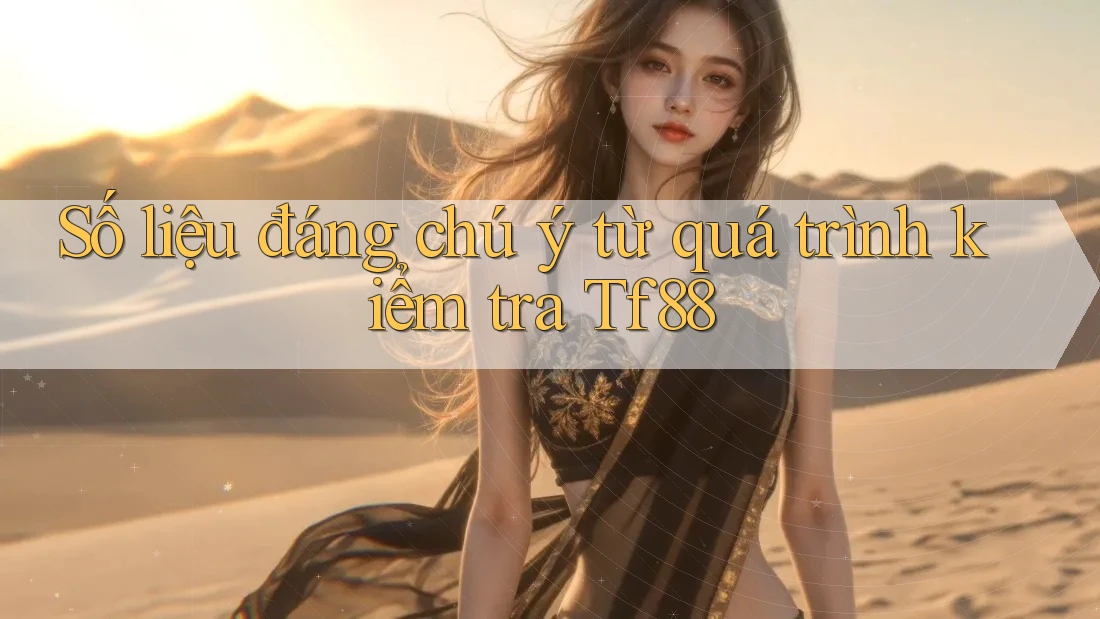 Số liệu đáng chú ý từ quá trình kiểm tra Tf88