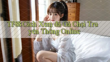 tf88  cách xem đá gà chọi truyền thống online