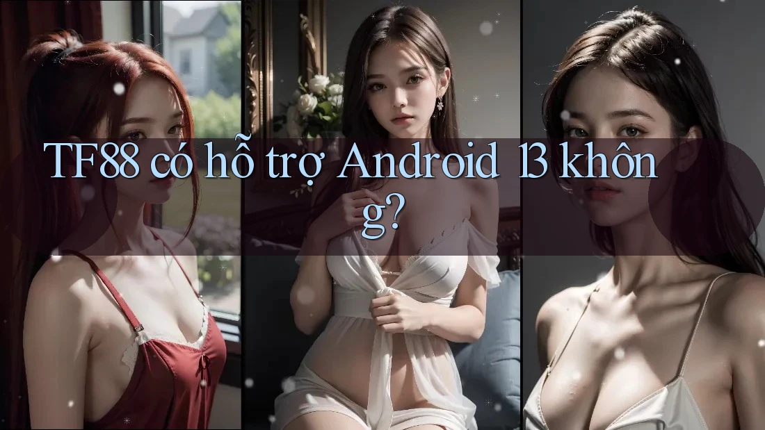 TF88 có hỗ trợ Android 13 không? TF88 có hỗ trợ Android 13 không?