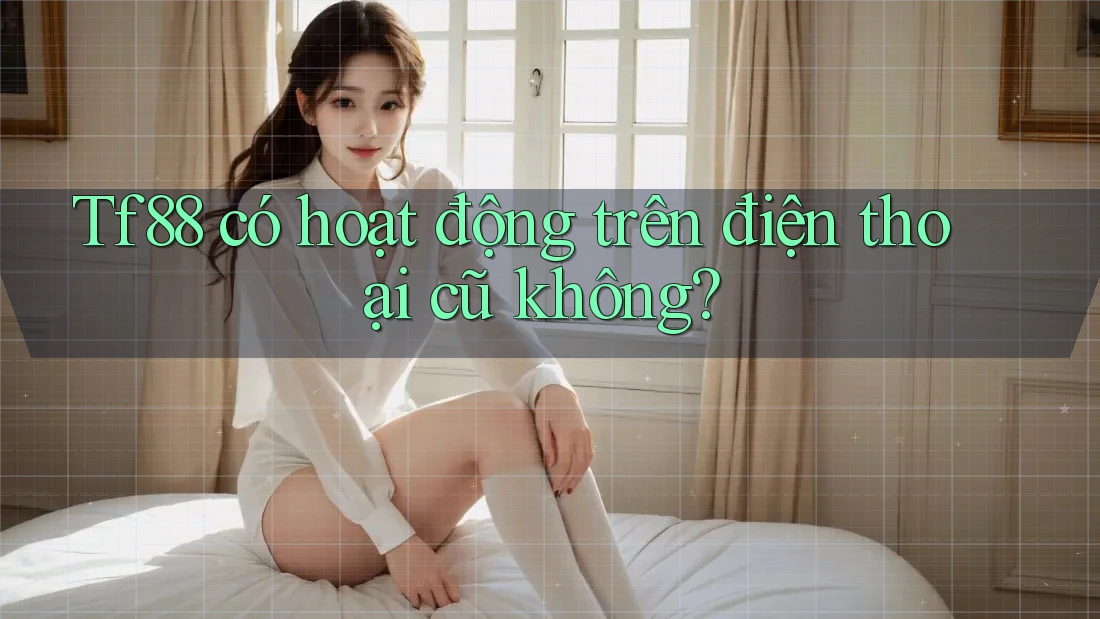 Tf88 có hoạt động trên điện thoại cũ không?