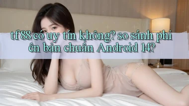 tf88 có uy tín không so sánh phiên bản chuẩn Android 14