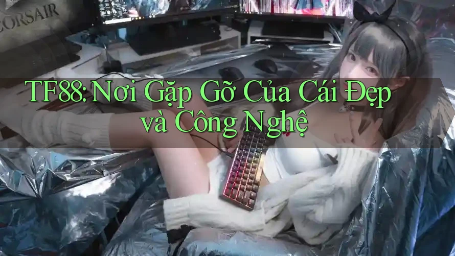 TF88: Nơi Gặp Gỡ Của Cái Đẹp và Công Nghệ TF88: Nơi Gặp Gỡ Của Cái Đẹp và Công Nghệ