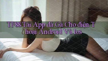 tf88  tải app đá gà cho điện thoại android và ios