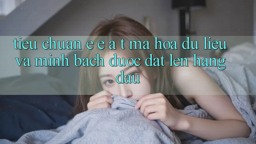 Tiêu Chuẩn E-E-A-T: Mã hóa dữ liệu Và Minh bạch Được Đặt Lên Hàng Đầu