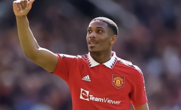 无疑是一种 无疑是一种