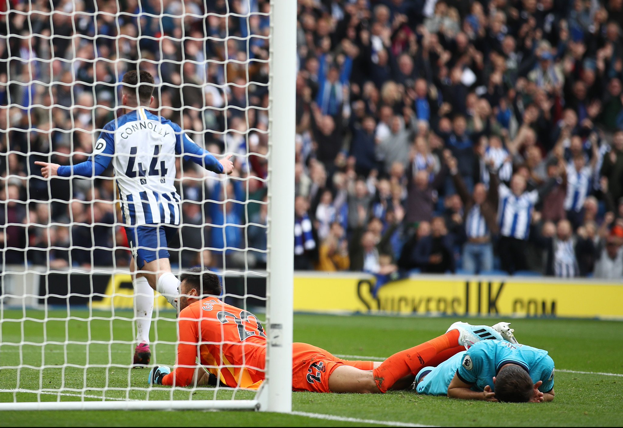 调也显得至 调也显得至